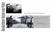 Het kamp Auschwitz Birkenau - met Annakraktour Reizen naar Polen