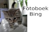 Fotoboek Bing