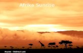 Afrika Sunrise  Jantjebeton