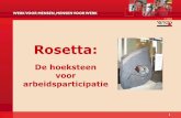 Rosetta: De hoeksteen voor arbeidsparticipatie (Kim Verstappen, WSD-Groep & Richard Derks, Van de Geijn Partners)