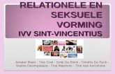 Relationele en Seksuele Vorming in het IVV