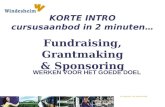 Fundraising, Grantmaking & Sponsoring - (van minor afgeleid) cursusaanbod