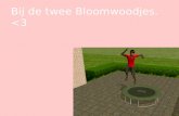 Update 29 Fam. Bloomwood