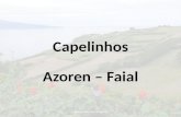 2307 azoren faial capelinhos