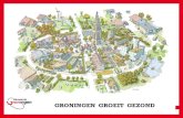 Wout Veldstra - Groningen groeit gezond