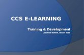 CCS E-Learning April 2010 Door Caroline Nolten
