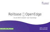 Rollbase via de REST adapter koppelen met OpenEdge