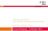 Online analyse ontwikkelingssamenwerking (Partos Plaza 2012)