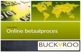 Buckaroo billing and payment services   2012
