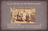 calvijn en de reformatie