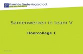 13 14 samenwerken in team v hoorcollege 1