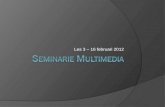 Seminarie Multimedia - Les 3