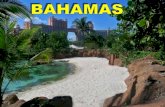 Bahamas 1210272560916524 8