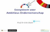 Ecosysteem voor ambitieus ondernemerschap - Opening Global Entrepreneurship Week 2014 NL