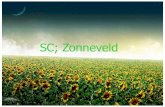 SC; Zonneveld