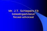 Presentatie Nederland Tax Holiday Theo Schlepers