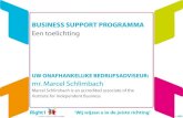 1110 Presentation Business Support Program (Bsp)
