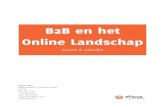 B2B en het Online Landschap