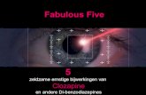 Fabulous 5