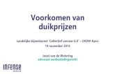 Niels vd wetering_voorkomen_van_duikprijzen