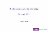 Zelforganisatie in de Zorg - Jos Lamé