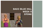 Bacc Blue Hill week 5 Stone