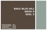 Bacc blue hill week 6 deel 3