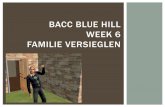 Bacc Blue Hill week 6 Versieglen