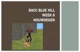 Bacc blue hill week6 houwdegen
