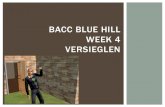 Bacc Blue Hill week 4 Versieglen