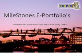 Mile stones e portfolio's voor doelgroepen