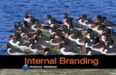 Freelunch webinar 28-3 'Internal branding'