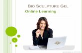 Bio Sculpture Online Learning Stappen