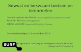 Bewust en bekwaam toetsen - Desirée Joosten-ten Brinken - OWD13