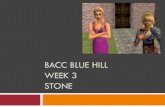 Bacc Blue Hill week 3 Stone