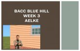 Bacc Blue Hill week 3 Aelke
