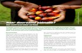 Hoe duurzaam is "duurzame" palmolie?