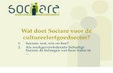 Wat doet Sociare voor de cultureelerfgoedsector?