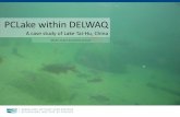 DSD-INT 2014 - Symposium 'Water Quality and Ecological modelling' - PC-Lake within Delwaq for Case Study Lake Tai-Hu, China (PART 2), Annette Janssen, NIOO-KNAW