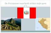 2MW4 - De Peruaanse waarheid achter mijn gsm