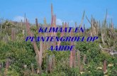 Klimaat en plantengroei