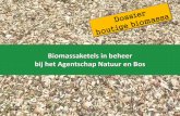 Kennisdossier biomassaketels