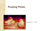 Roeping mozes