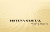16 ¬ aula slides sistema genital