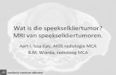 Speekselkliertumoren Radiologendagen 2012 Aart Issa