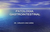 Patologia gastrointestinal ii
