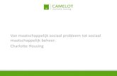 Camelot 13-nl-charlotte housing