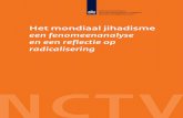 Fenomeenanalyse jihadisme NCTV 11 2014