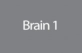 Aula Brain 2