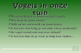 Vogels in onze_tuin_a_